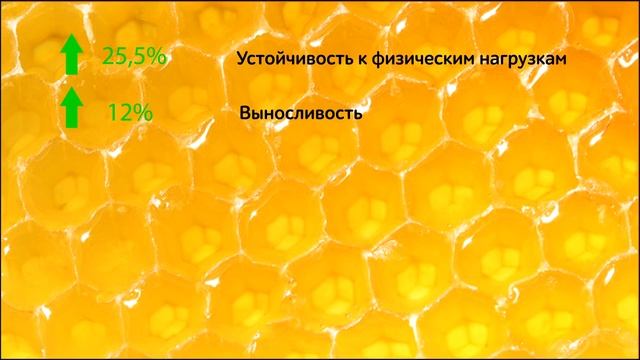 Результаты работы кластера в области спортивного питания. смотреть онлайн