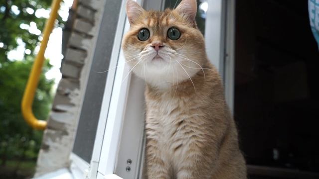 It's a beautiful day, the birds are singing. смотреть онлайн