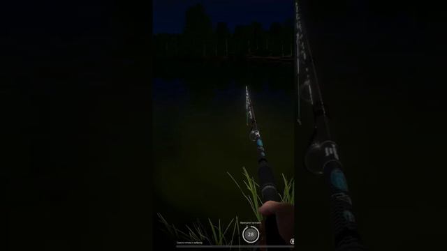 ТРОФЕЙНЫЙ ЁРШ! Комариное Русская Рыбалка 4 смотреть онлайн