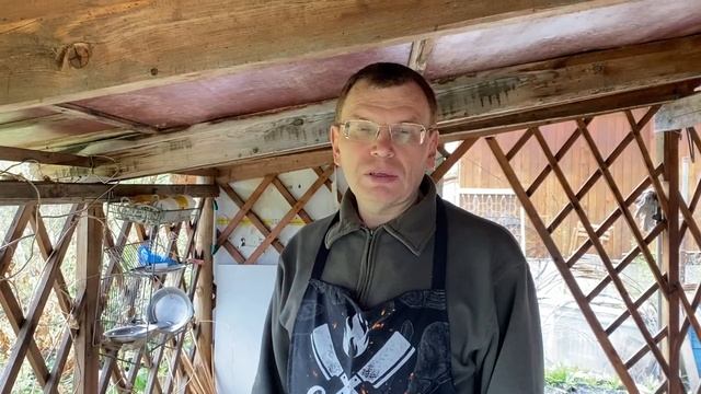 Камбала на гриле Weber Go Anywhere (+ бюджетная сетка для рыбы). смотреть онлайн