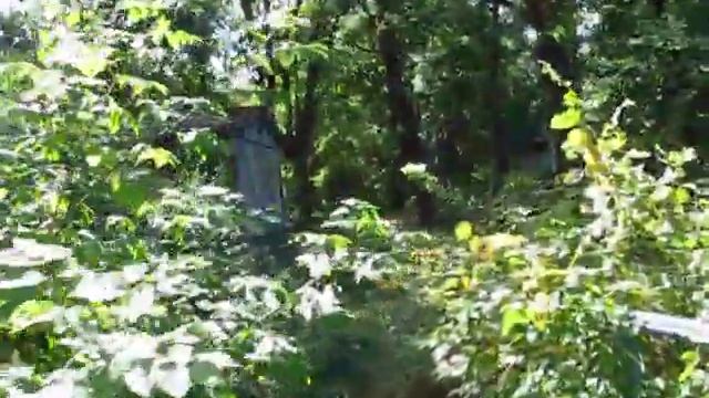 Турбазы Воронежской области, Рамонь 0056 смотреть онлайн