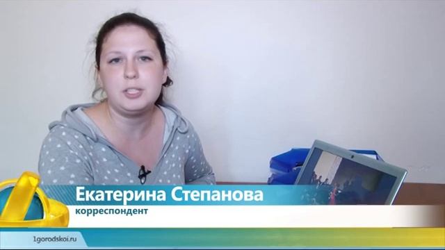 сюжет выставка смотреть онлайн