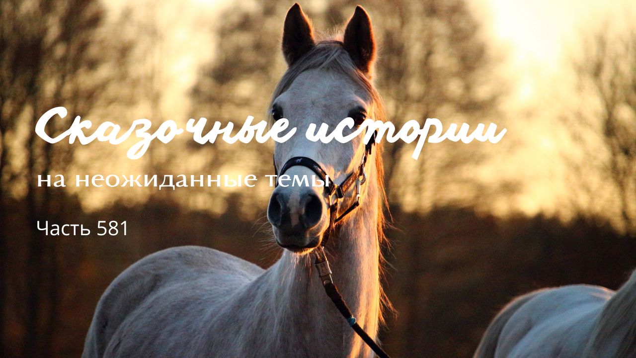 Часть 581. Против течения. смотреть онлайн
