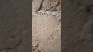 утепления дома опилками и глиной