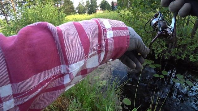 Мормышинг в микро-ручье. Окунь и плотва отлично ловятся в жару. смотреть онлайн