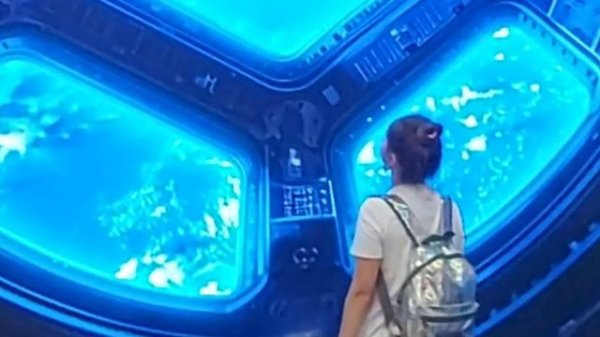 Natalia Lin Mo - Astronaut in the ocean (Masked Wolf  кавер)