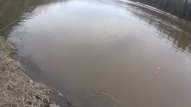 Рыбалка на таежной речке Поймал линка на 2кг смотреть онлайн