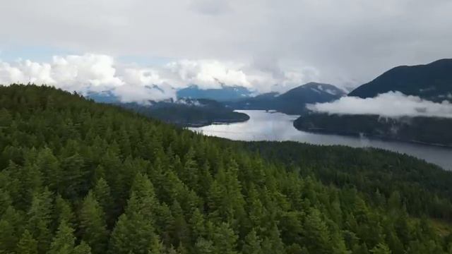 Сила момента сейчас. Автор книги Экхарт Толле. Озвучивает Никошо.