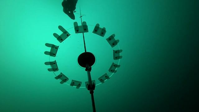 Набатов Илья, CWT 50 метров, "Открытый Чемпионат Крыма - Глубина 2019" смотреть онлайн