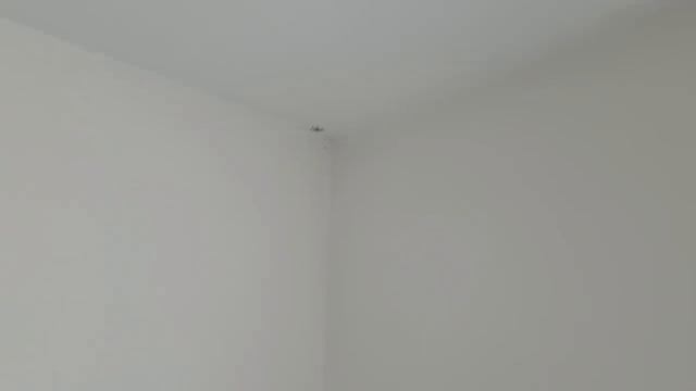 Я вас НЕ ПУГАЮ! СТАТИНЫ пить или нет? ВАЖНО про АСПИРИН... Модные СТРИЖКИ и МАКИЯЖ 2020 смотреть онлайн