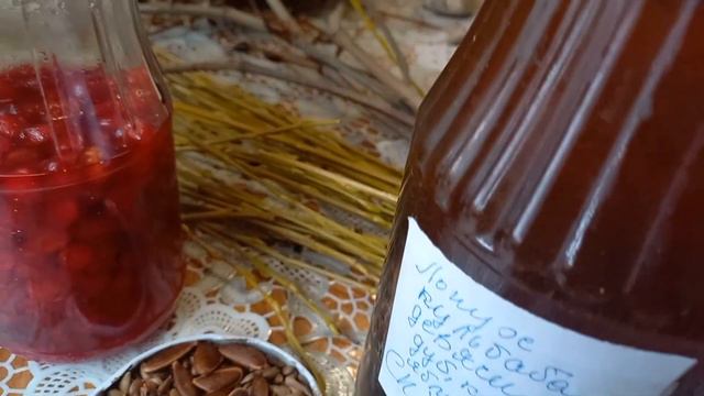 МАМИНІ РЕЦЕПТИ. Лікарські рослини. смотреть онлайн