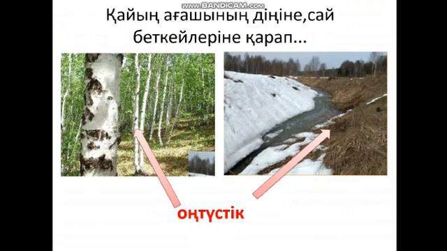 Видео сабақ 4-тоқсан.Дүниетану 2-сынып.Тақырыбы:Жергілікті жерді бағдарлау.#онлайн#Stayhomechelleng смотреть онлайн