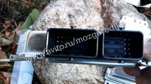 ЭБУ Мозги ГАЗ Газель, Соболь Микас 12.3 42164.3763001 и 42164.3763001-04. Обзор, ремонт и прошивка.