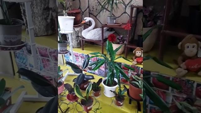 АСТАНА 🇰🇿💓💎 6 февраля 2023 года 💓💎💓 смотреть онлайн