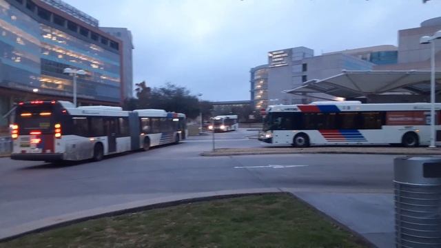 2 & 2 Mission Bend/Bellaire Houston Metro Nova Artic #1552 #1545 смотреть онлайн