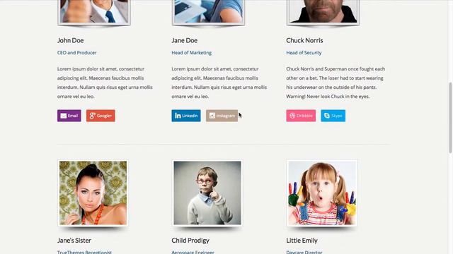 Download 'Karma' Responsive WordPress Theme смотреть онлайн