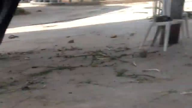 парк патая смотреть онлайн