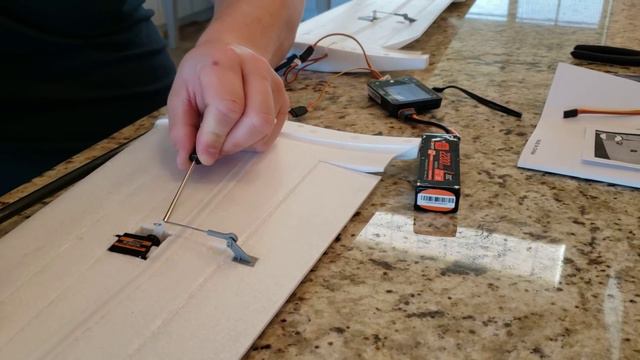 FMS - Fox - 2.3m - Unbox, Build, Radio Setup, & Maiden Flight смотреть онлайн