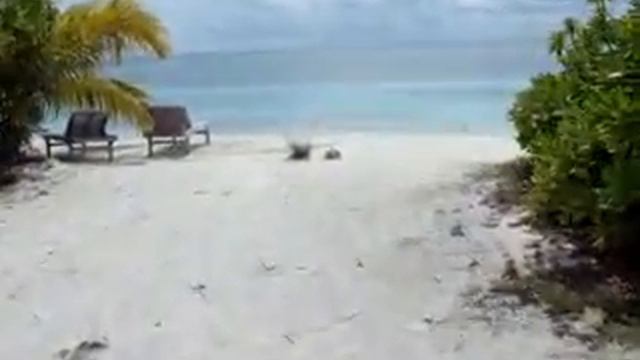 От номера отеля Fun Island до океана.flv смотреть онлайн