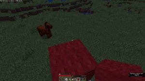 У МЕНЯ ПОЛУЧИЛОСЬ ПРИЗВАТЬ ЛУКАСА!? Майнкрафт мистика