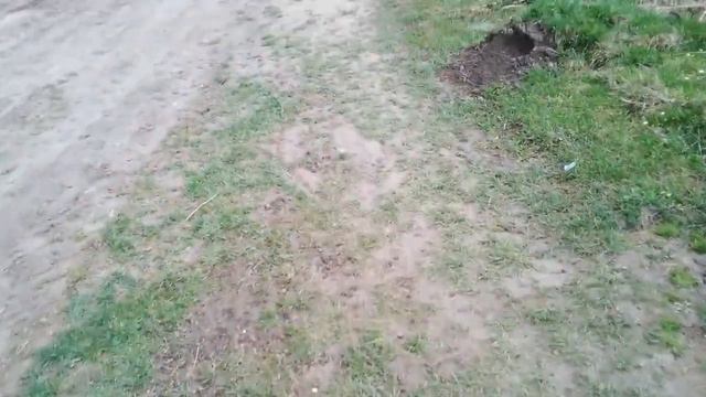 Легенда-казка про квітку мати- мачуху. смотреть онлайн