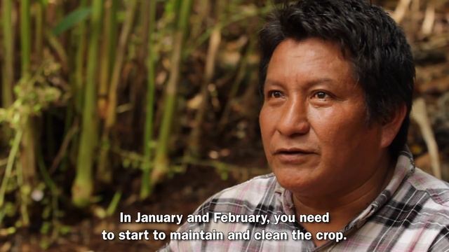 Cardamom Sourcing смотреть онлайн