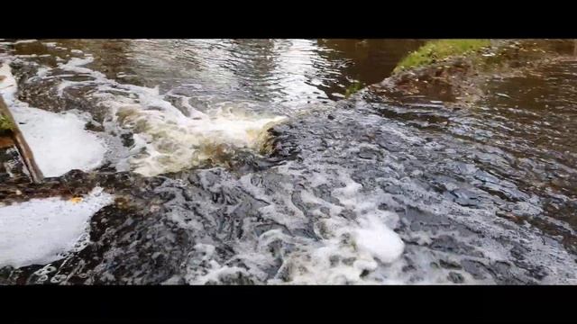 Эстония #чайноесостояние #золотаяосень #Кейла-Йоа смотреть онлайн