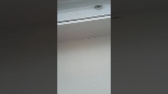 Почему потеют пластиковые окна что можно зделат смотреть онлайн