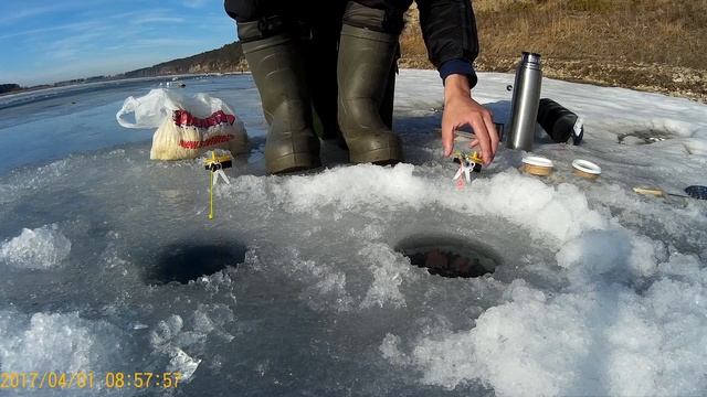 ловля ельца на опарыша , река белая ,подледный лов смотреть онлайн