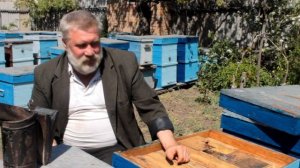 Хранение суши в самодельной холодильной камере. Пчеловодство 2020. Пчеловодство для начинающих