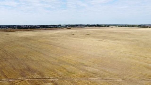 Вкусные супы