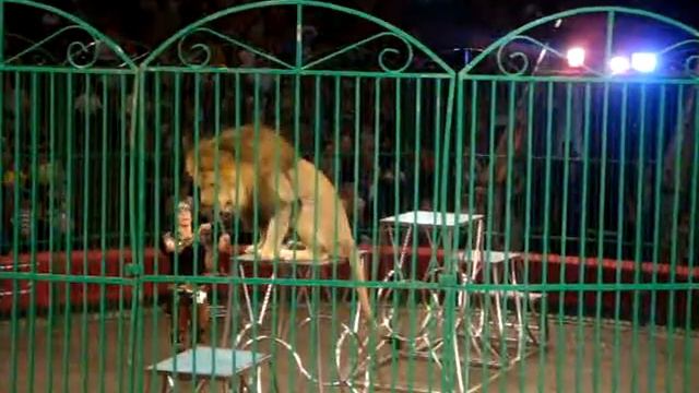 супер лев кароль смотреть онлайн