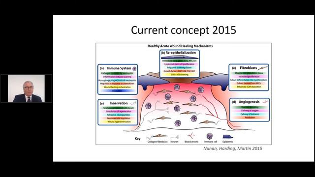 HydroTherapy: A NEW perspective in Moist Wound Healing - Keith Harding - Part 2 смотреть онлайн