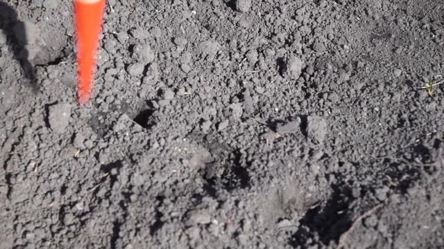 Просто способ посадки урожайной свеклы ❦ Посадка свеклы за 2 минуты смотреть онлайн