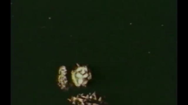 Классика жанра! Лафертовская маковница. Мультфильм в HD. STARMEDIAKIDS