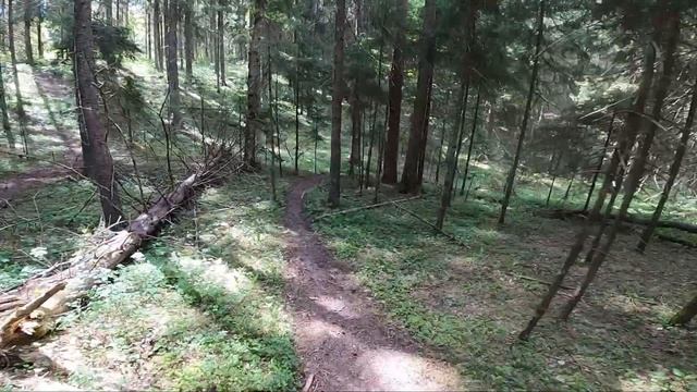 Обзор трассы "Лужский путь" класс "Новички". by Motobots Enduro Team смотреть онлайн