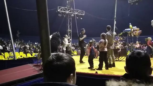 Цирк Династии Довгалюк в Тольятти 15 декабря 2019 г.