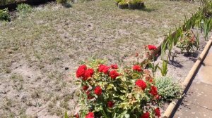 Дачи в Германии. Немецкая дача.