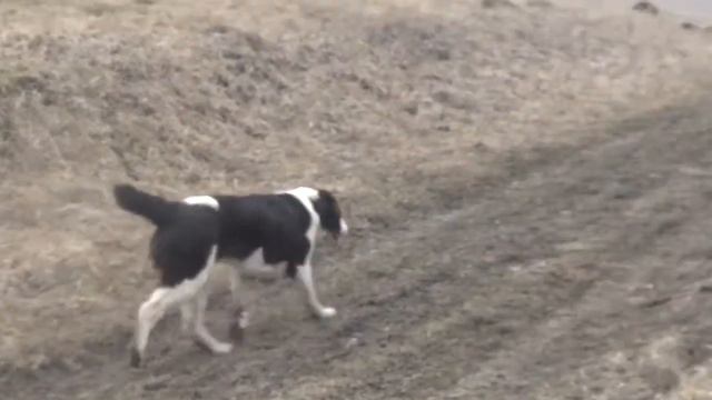 Венера Из Усадьбы Румянцевых 6 мес смотреть онлайн