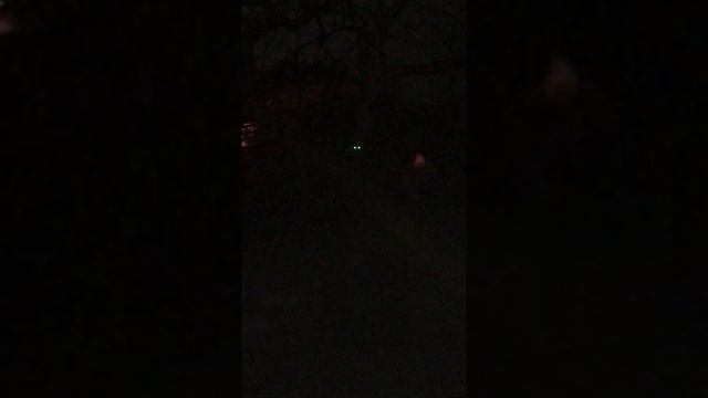 Снова ночной гость бегает по крыше 😱 Ласка хулиганит смотреть онлайн