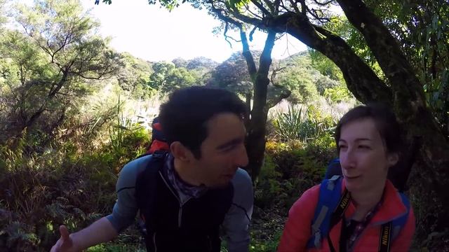 ?️ Stunning Abel Tasman National Park Boat Tour - New Zealand's Biggest Gap Year смотреть онлайн
