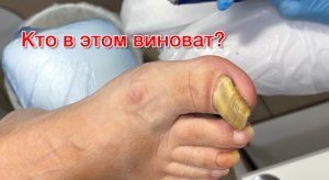 Кто в этом виноват?