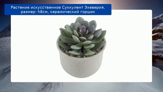 Растение искусственное Суккулент Эхеверия, размер: h8см, керамический горшок смотреть онлайн