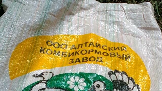 Утки. Черри-велли и муларды! Кого выбрать? Какой прирост в весе к 40 дням? Какие условия содержания смотреть онлайн