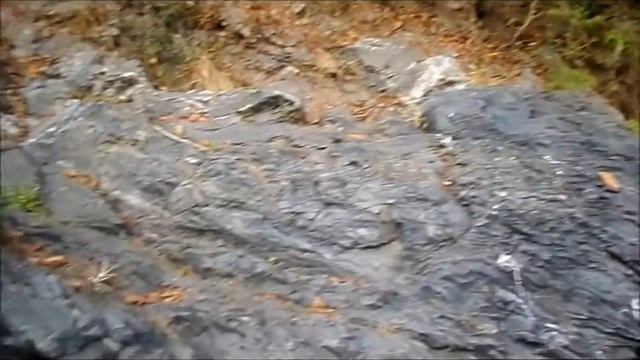 La Moquillada, Las Lajas- Provincia de El Oro-Ecuador смотреть онлайн