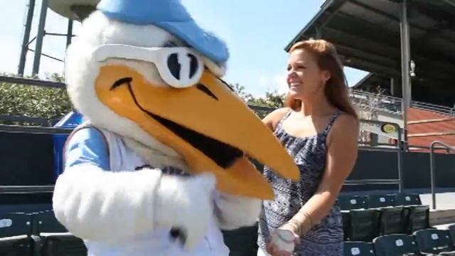 #VoteSplash for Mascot Mania! смотреть онлайн
