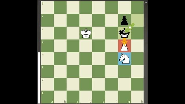An AMAZING Knight Sac to Promote a Pawn in the Endgame! смотреть онлайн