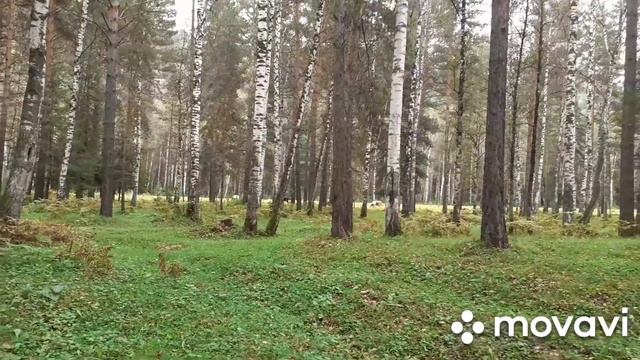 О преданности/Свобода✌ и ее цена,для нас.../ Если я молчу. Почему я это делаю? смотреть онлайн