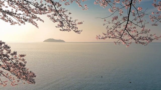Музыка лечит сердце и сосуды🌿 Успокаивающая музыка восстанавливает нервную систему,расслабляющая смотреть онлайн