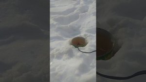 Кипятим дизель